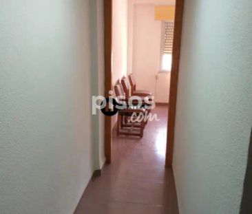 Piso en alquiler en Fiesta del Arbol - Foto 4