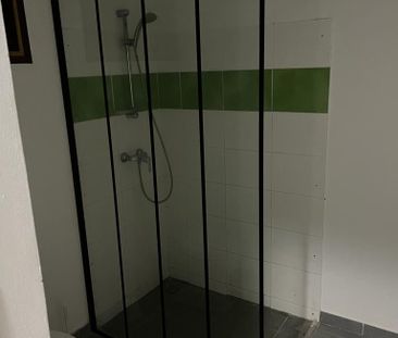 Location Appartement 1 pièce 29m² REMIRE MONTJOLY 97354 - Photo 2