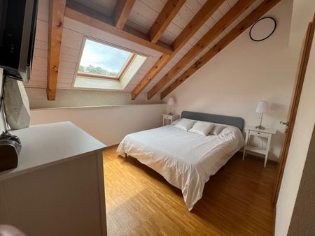 Appartement de 6,5 pièces en attique à Savigny - Photo 3