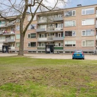 Europalaan 0ong, 5042 Tilburg, Nederland - Photo 3