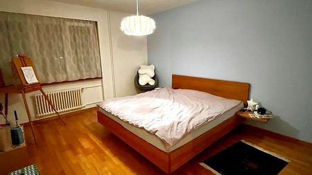 3½ Zimmer-Wohnung in Urdorf (ZH), möbliert, auf Zeit - Photo 4