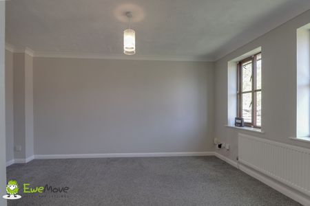 1 Bedroom - Photo 2