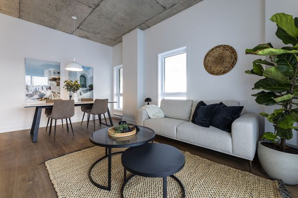 Mostra Newman apartments for rent in LaSalle - Photo 1