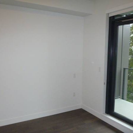 2 Bedrooms + 2 Baths apartment near QE Park - Photo 1