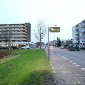 Marco Pololaan, 3526 Utrecht, Nederland - Foto 2