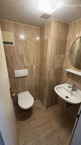 Helle 3-Zimmer-Wohnung mit grosser Terrasse in Stansstad (NW) - Foto 3