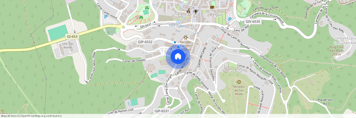 Begur, - Pi i rallo 1