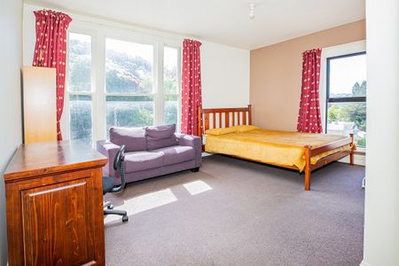 47 Park Street, North Dunedin - Photo 2