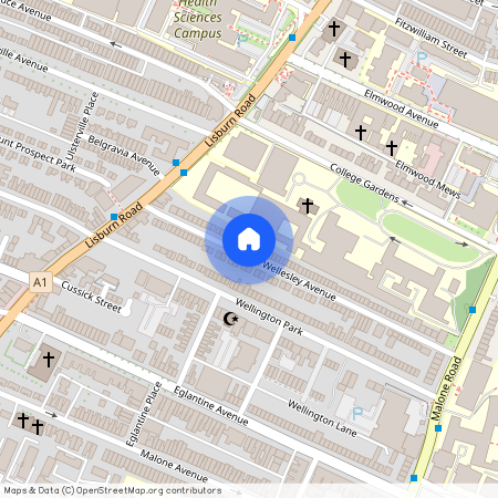Flat 1-91 Wellesley Avenue, Belfast, BT9 6DH