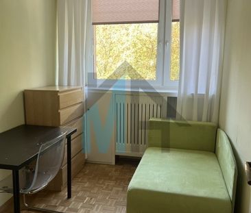 Warszawa, Bielany, Gwiaździsta - Photo 4