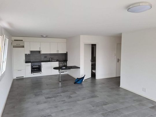 Bel appartement lumineux de 2,5 pièces à Chavannes-près-Renens - Foto 1