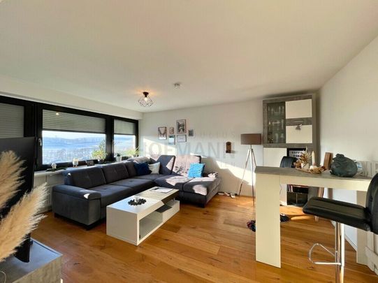 Moderne 4 1/2 Zim. Wohnung, oberste Etage mit Lift, Einbauküche, Panorama - Balkon, große Garage - Photo 1