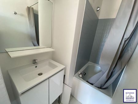 Location Appartement 1 pièce 17m² - Photo 4