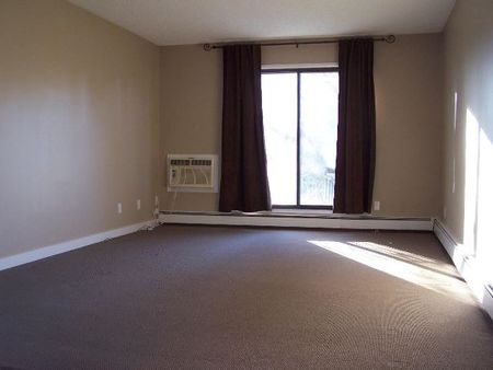 2318 Arlington Ave - 1 Bedroom In Clean Quiet Building Available for January 1, 2025 - Photo 4