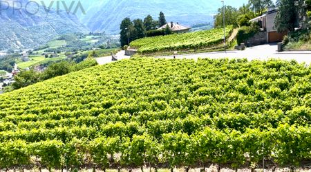 Ensoleillé avec une jolie vue sans vis-à-vis - Photo 4