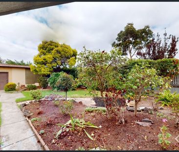 Charming 3-Bedroom Home with Established Gardens - Photo 6