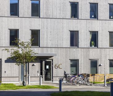 Bryggargatan, Nynäshamn - Photo 2