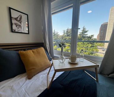 Paseo de la Castellana, Madrid, Community of Madrid - Photo 4