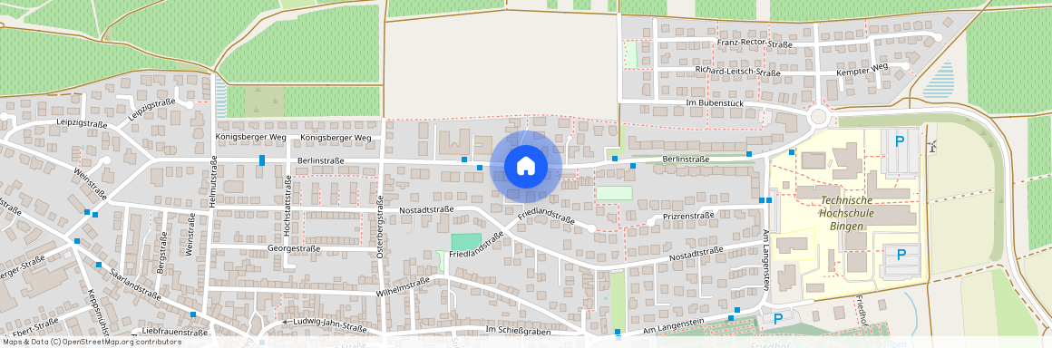 Berlinstr. 61, 55411, Bingen Am Rhein