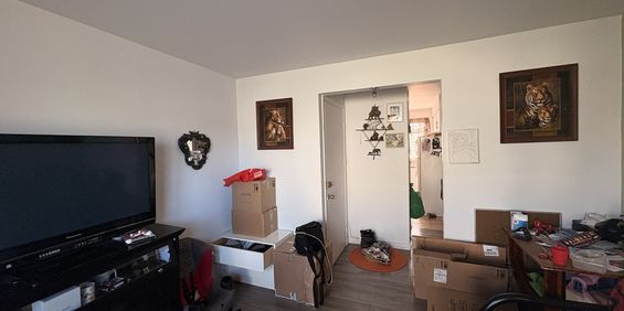 Appartement 2 Chambres – Longueuil - Photo 3
