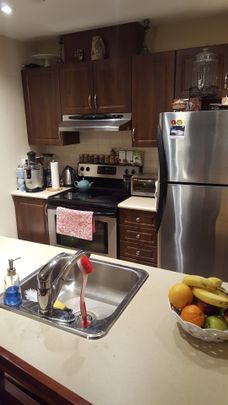 1500 Rue St-Louis, apt. 406 - Photo 1