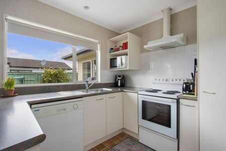 Family Home, Close To Town - Katikati - Photo 5