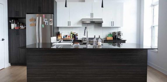 Magnifique 4½ lumineux à aire ouverte à Saint-Hyacinthe - Photo 2