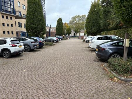 Swammerdampad - Foto 2