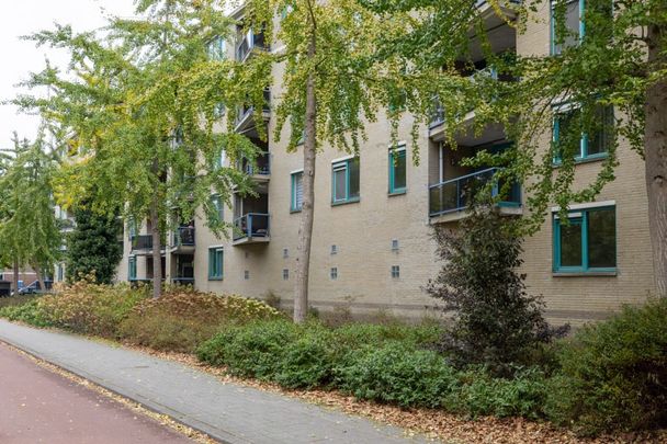 Remmet van Milplaats 12, Het Lage Land, 3067AS, Rotterdam - Photo 1