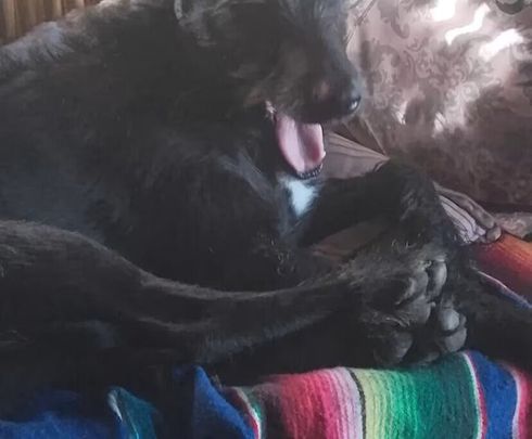 Kensington - Photo 1