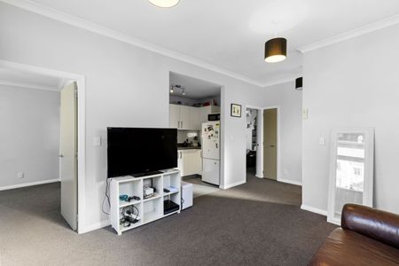 Modern 2-Bedroom Flat in the Heart of Aro Valley - Photo 3