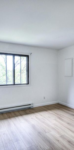 Appartement Montréal (Rivière-des-Prairies/Pointe-aux-Trembles) � Louer - Photo 1