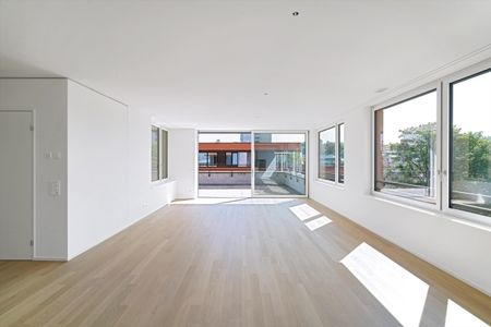 Élégant dans le penthouse au-dessus des toits d’Allschwil - Photo 4