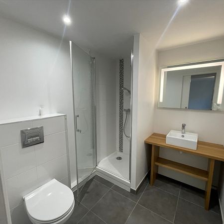 Location Appartement 1 pièce 26m² - Photo 3