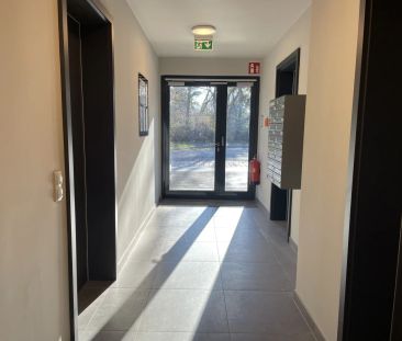 Wunderschöne 4-Zimmer Wohnung mit großer Dachterrasse und charmante... - Foto 4