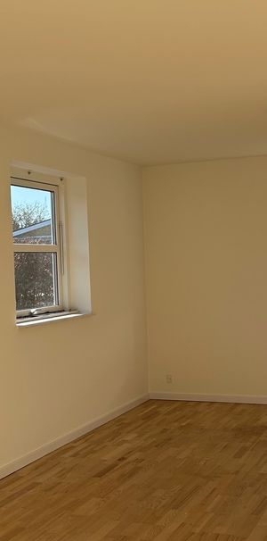 Risvænget 7B, Birkende - Enderækkehus 85 m3 i roligt vænge - Photo 1