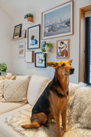 For Lease - 205 Beech Street, Collingwood, Ontario - Photo 2