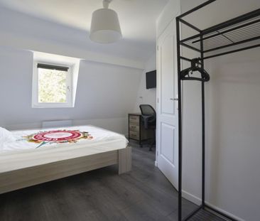 PASTEUR D Roommate 4 Bedrooms at Loos - Photo 2