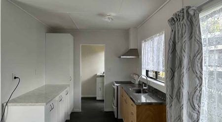 Welcome to your next home in the heart of Levin! - Photo 3