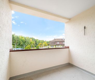 Wohlfühloase am Irchelpark - Freshly renovated - Your new home? - Photo 1