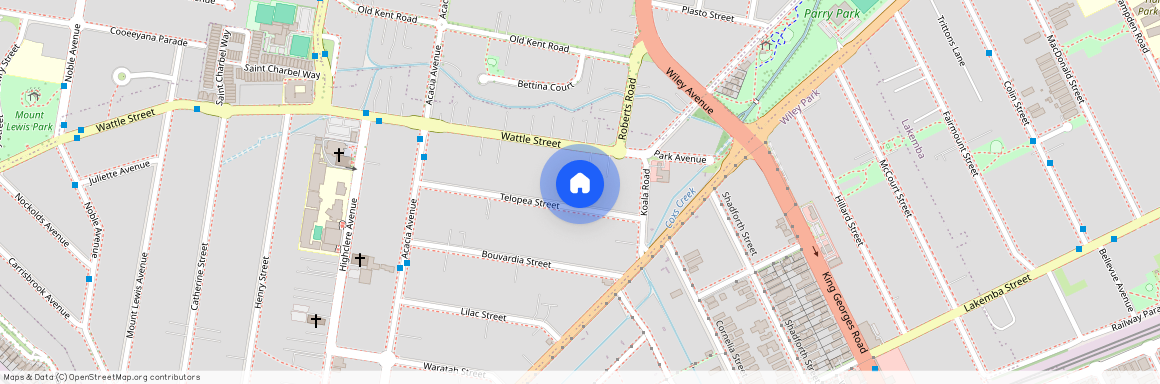 9 Telopea Street, NSW 2196, Punchbowl