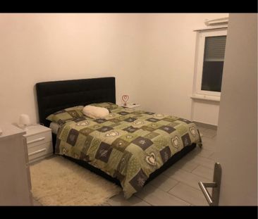 3 Zimmer, 65 m² - Photo 3