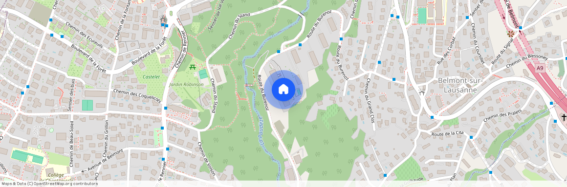 1092, Belmont-sur-Lausanne, Rte du Burenoz, 47