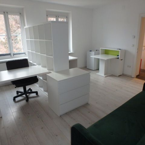 Mietwohnung Nähe DPU - KL - Donau-Uni - FH ab sofort zu vermieten - Photo 1