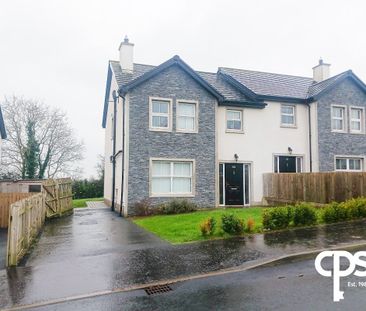 17 Roxborough Manor, Moy BT71 7FQ - Photo 6