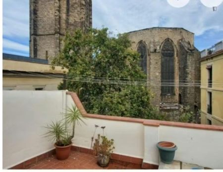 Carrer dAlsina, Barcelona, Catalonia 08002 - Photo 3