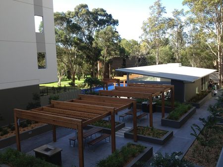 A106/2 Saunders Cl, Macquarie Park NSW 2113 - Apartment For Rent | Domain - Photo 3