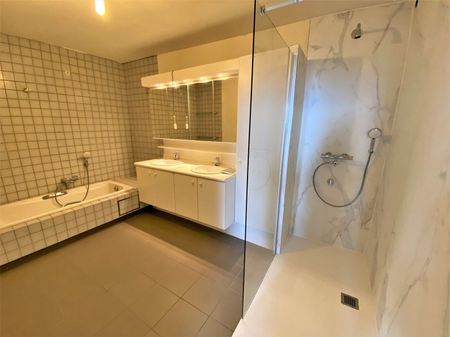 Ruim appartement met twee slaapkamers - Foto 4