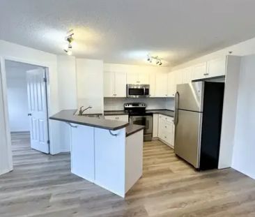 Newly Renovated *High Demand* Top Floor Unit - Avail Feb 1st - | 60... - Photo 1