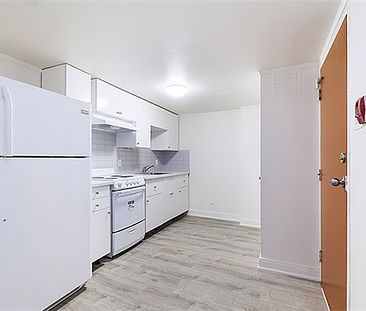 Newly Renovated 1 Bedroom For Rent - Photo 1